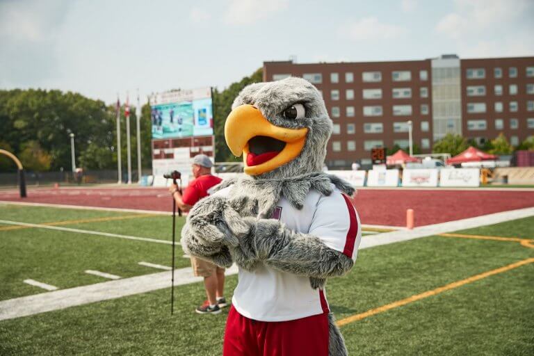 Mac the Marauder standing on the football field