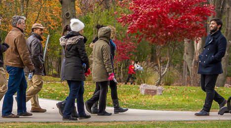 mcmaster in person campus tours