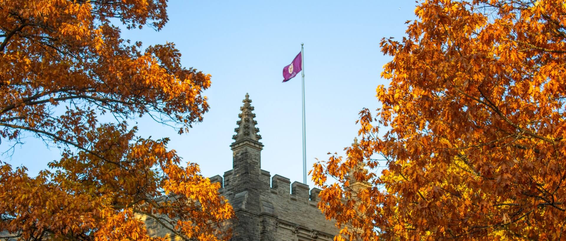 Fall season in campus, yellow leaves around the University Hall. There is a McMaster maroon flag.