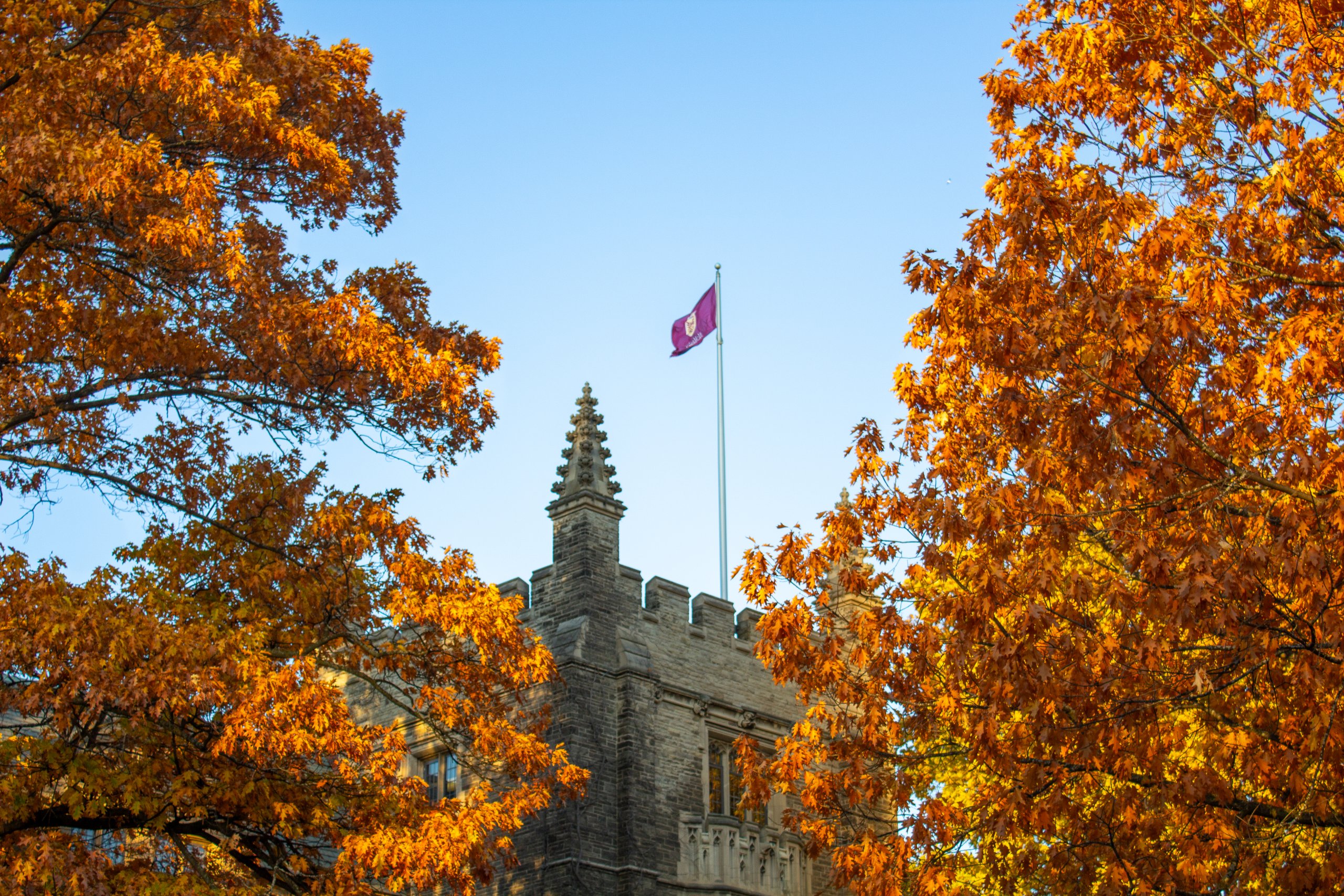 Counsellor Hub - Future Students - McMaster University