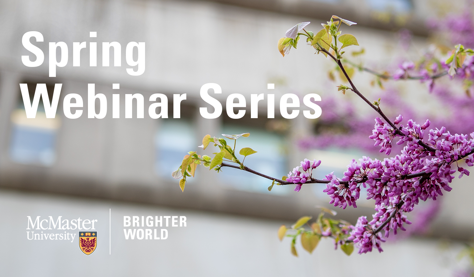 Spring Webinar Series Future Students McMaster University